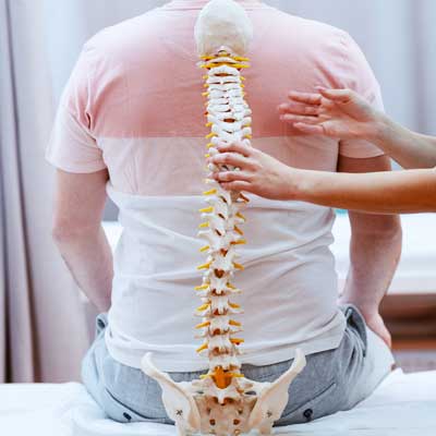 Patient with a model spine against there back